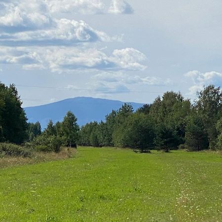 Goralskie Domki U Topora Villa Czarny Dunajec Buitenkant foto