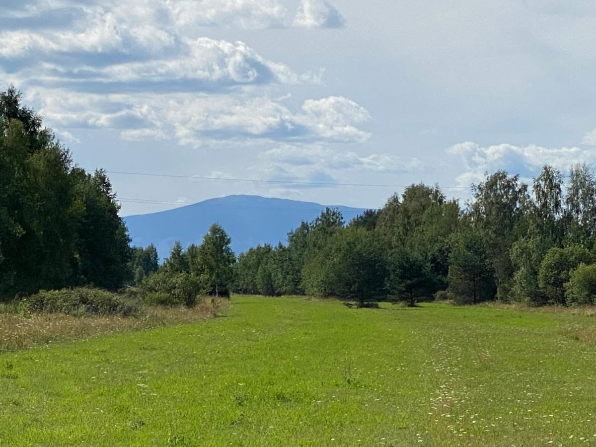 Goralskie Domki U Topora Villa Czarny Dunajec Buitenkant foto