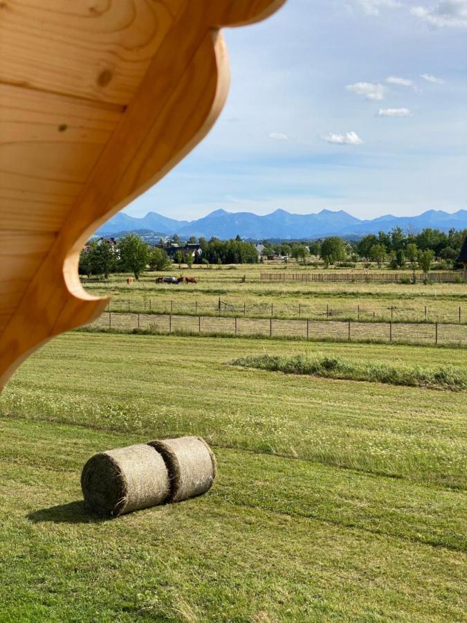 Goralskie Domki U Topora Villa Czarny Dunajec Buitenkant foto